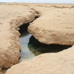 Ras-Muhammad_2