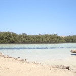 Ras-Muhammad_6