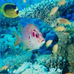blue hole_1