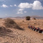 safari-2